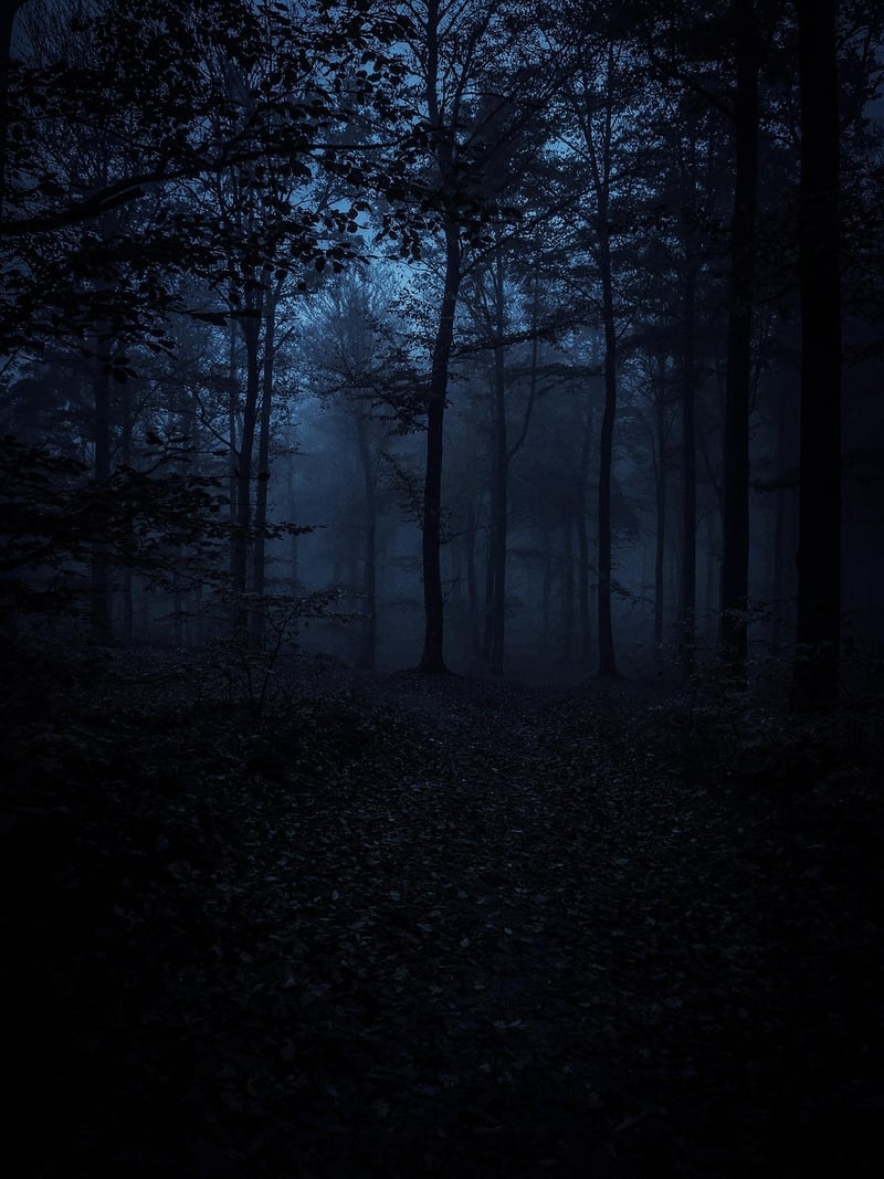 Journey Into the Unknown